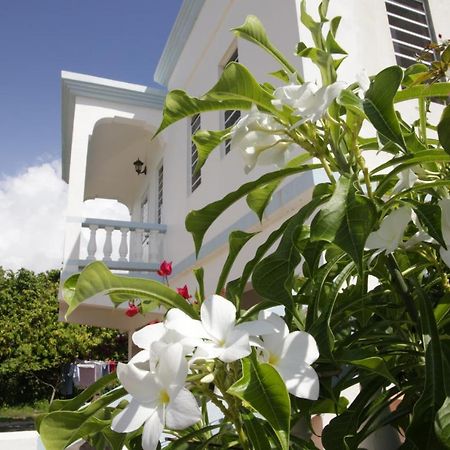 Breezee Apartment Long Path Bagian luar foto