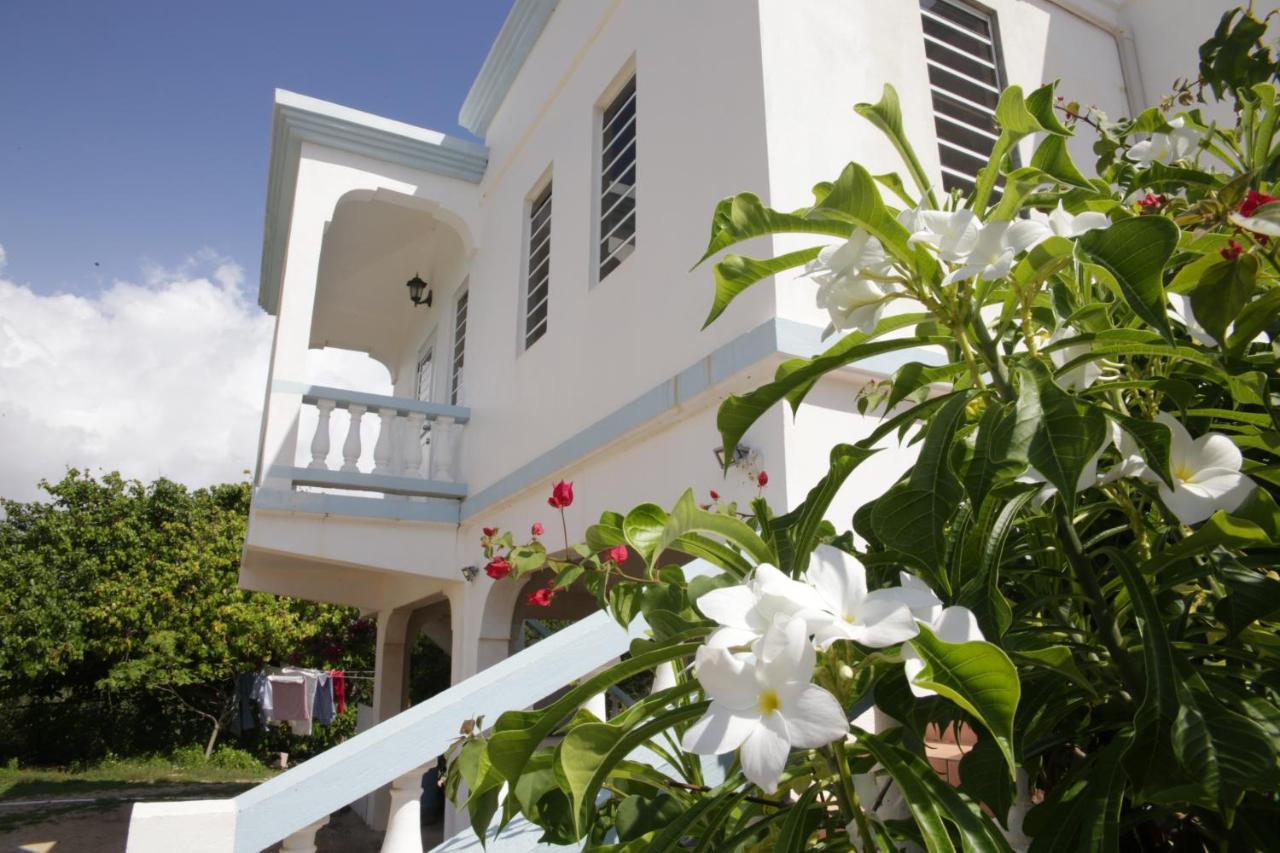 Breezee Apartment Long Path Bagian luar foto